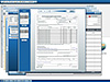 Print Preview Showing Windowed Functionality