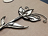 Detailed Close-up